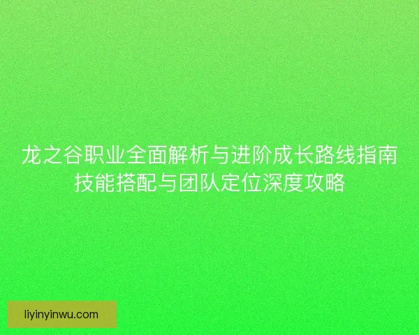 龙之谷职业全面解析与进阶成长路线指南技能搭配与团队定位深度攻略