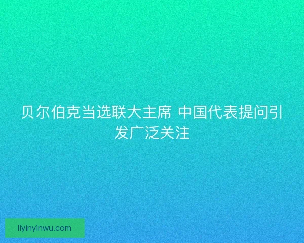 贝尔伯克当选联大主席 中国代表提问引发广泛关注 贝尔伯克当选联大主席 中国代表提问引发广泛关注